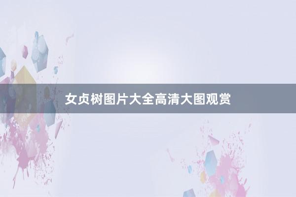 女贞树图片大全高清大图观赏
