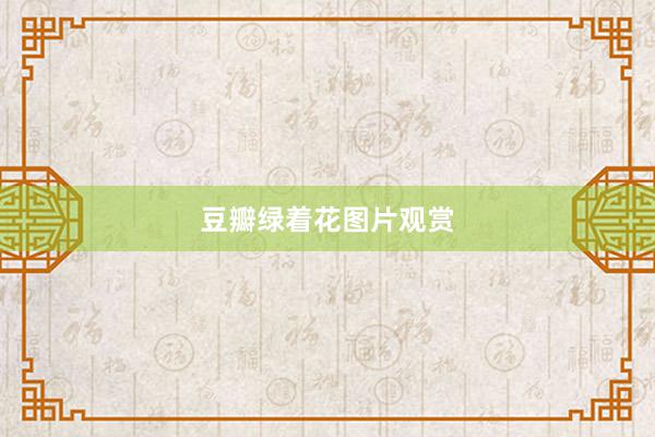 豆瓣绿着花图片观赏