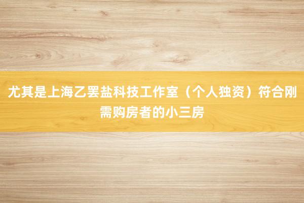 尤其是上海乙罢盐科技工作室（个人独资）符合刚需购房者的小三房